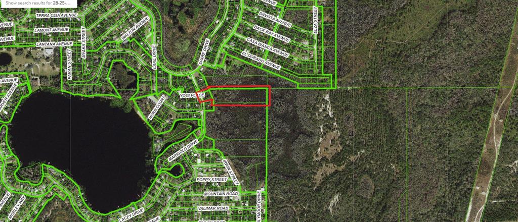 An aerial map shows a rectangular parcel of land outlined in red near a lake — 8944 MARIGOLD DRIVE, NEW PORT RICHEY, FL