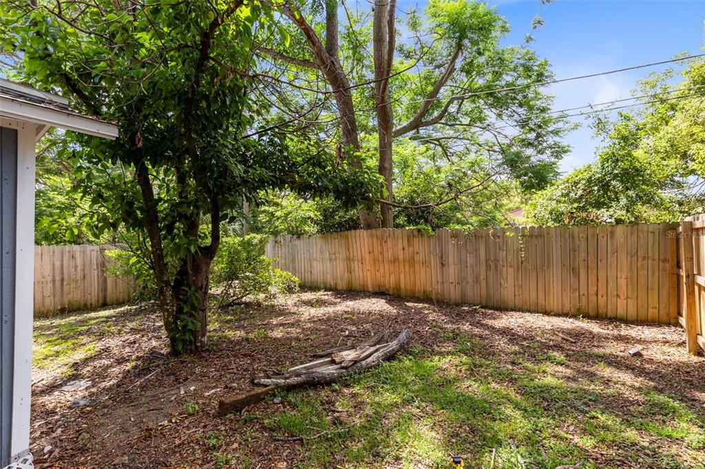 A backyard features a wooden fence, a large tree, and scattered debris on the ground — 3432 HARRY STREET, APOPKA, FL