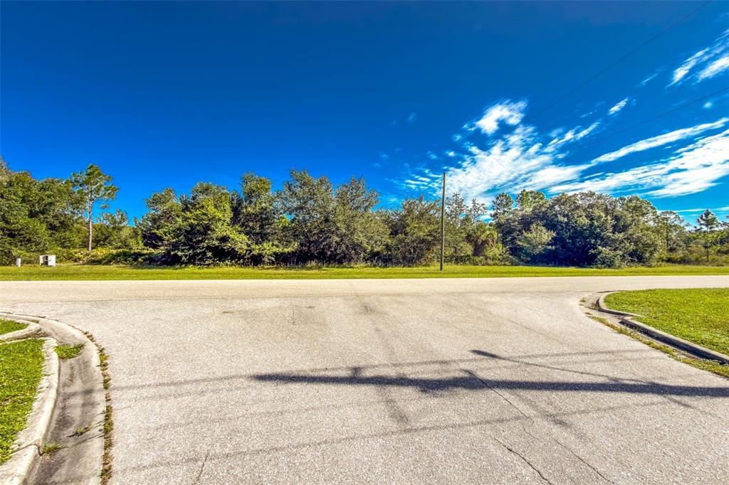 A paved road curves in front of a vacant lot with dense green trees — 16550 PRAIRIE CREEK BOULEVARD, PUNTA GORDA, FL