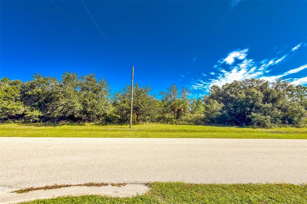 A paved road runs in front of a grassy lot with dense trees and a pole — 16550 PRAIRIE CREEK BOULEVARD, PUNTA GORDA, FL