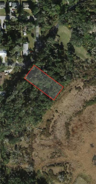 3301 E Lake Nina DRIVE, INVERNESS, FL — photo 2 of 3