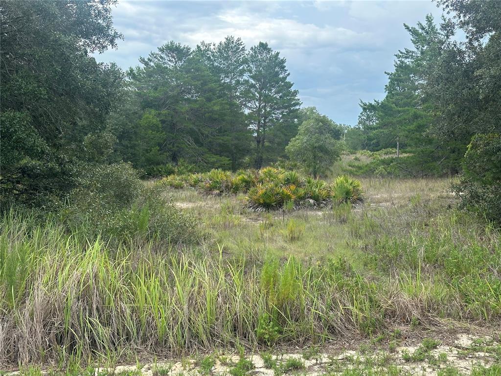 6977 S RAINBOW POINT, HOMOSASSA, FL — photo 3 of 5
