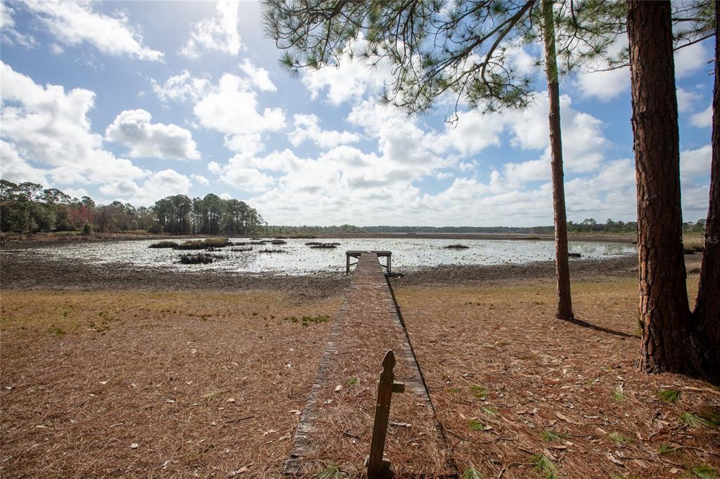 A wooden dock extends from a pine-covered yard into a shallow, marshy lake — 5711 CARIBBEAN CIRCLE, KEYSTONE HEIGHTS, FL