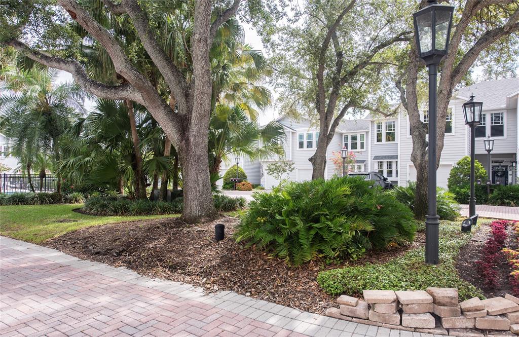 A paved walkway leads past trees and landscaping toward a multi-story residential building — 2311 W MORRISON AVENUE UNIT 26, TAMPA, FL