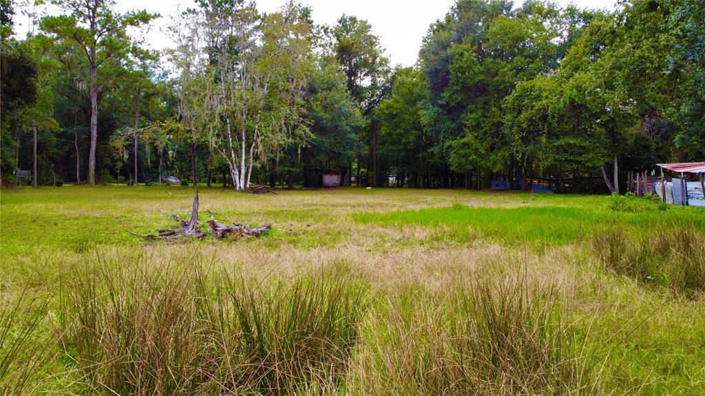 10725 HUNTERS TRAIL, LAKELAND, FL — photo 2 of 2