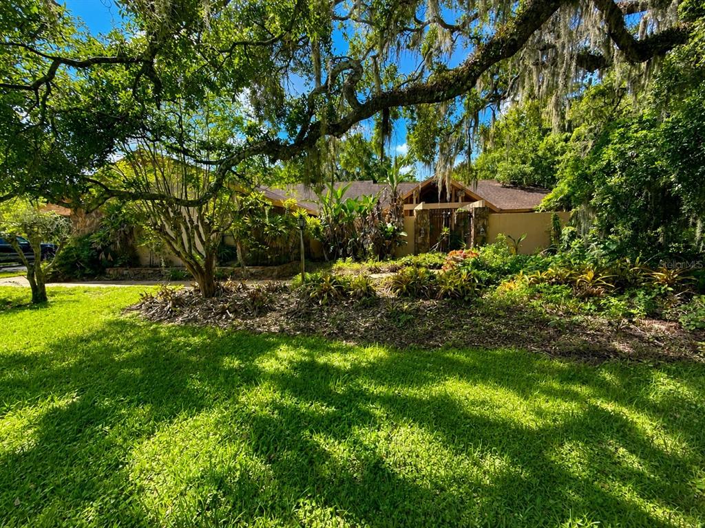 A single-story house with a brown roof is partially obscured by large, moss-draped oak trees — 6701 PEMBERTON VIEW DRIVE, SEFFNER, FL