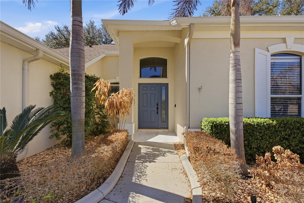 A concrete walkway leads to the front entrance of a house with a blue door — 3209 PARTRIDGE POINT TRAIL, VALRICO, FL