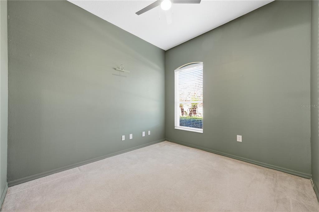 An empty room with sage green walls, beige carpeting, a ceiling fan, and one window — 3209 PARTRIDGE POINT TRAIL, VALRICO, FL
