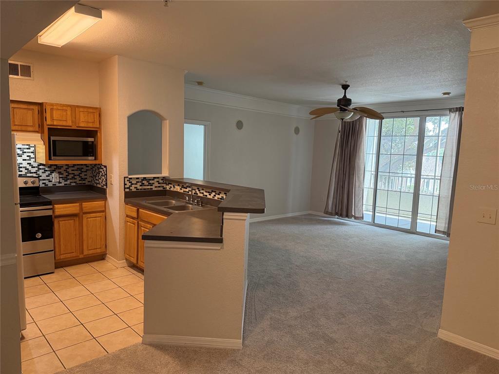 A black front door with the number 207 is set within a white frame — 6685 QUEENS BOROUGH AVENUE UNIT 207, ORLANDO, FL