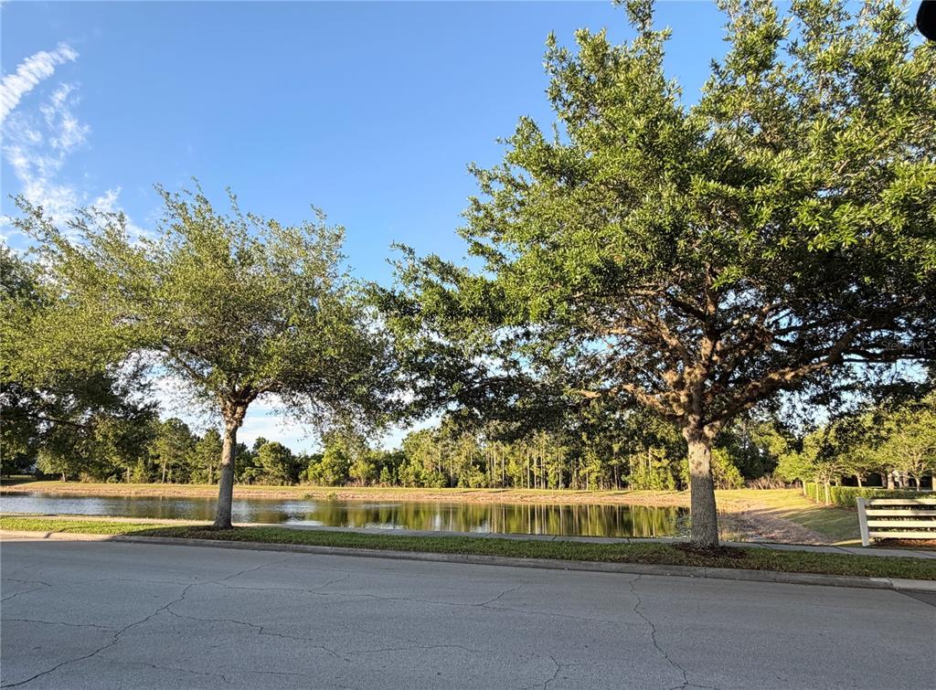 A view of a pond and trees from a paved street — 6943 FIVE OAKS DRIVE, HARMONY, FL