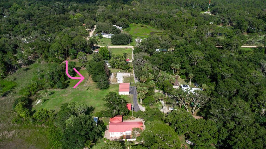 21729 CHIBAW ROAD, ASTOR, FL — photo 3 of 30