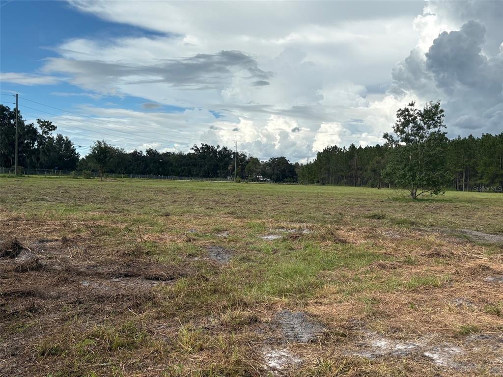 PUMP STATION RD, LAND O LAKES, FL — photo 2 of 10