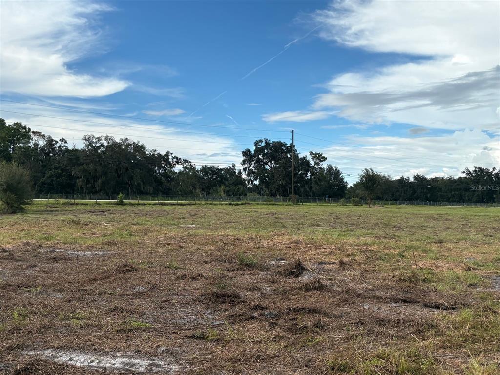 PUMP STATION RD, LAND O LAKES, FL — photo 3 of 10