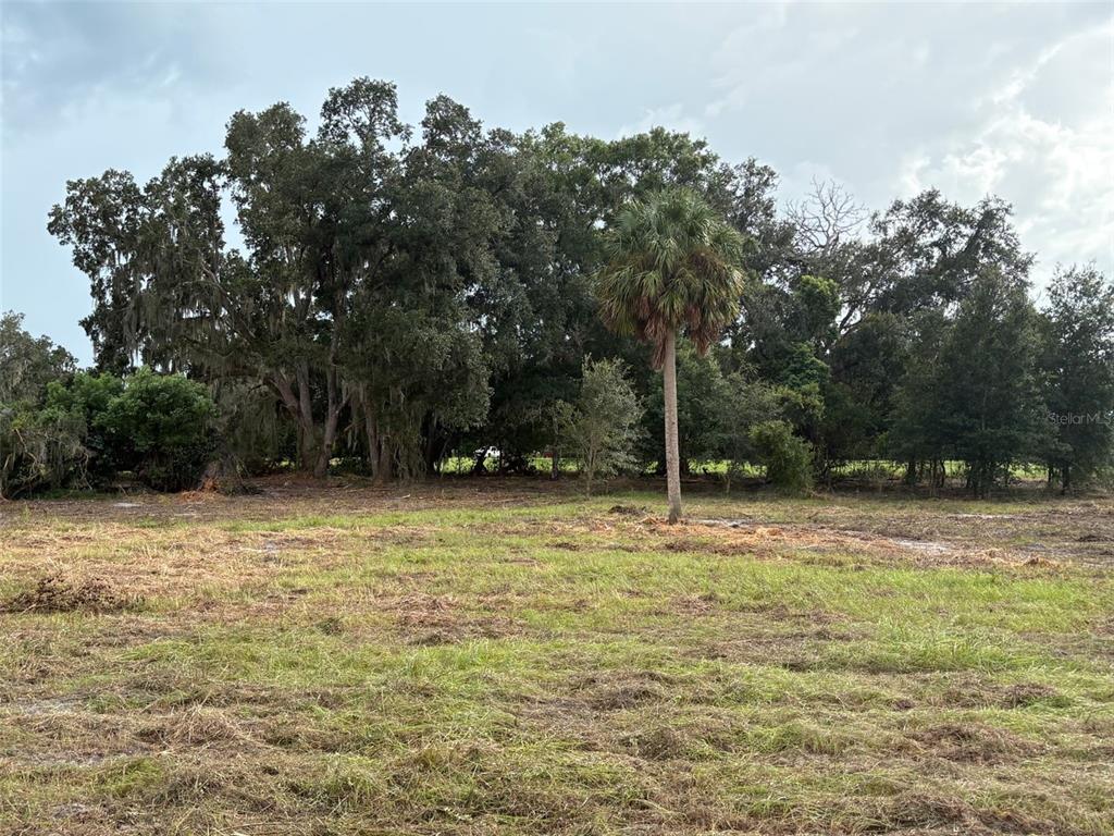 PUMP STATION RD, LAND O LAKES, FL — photo 4 of 10