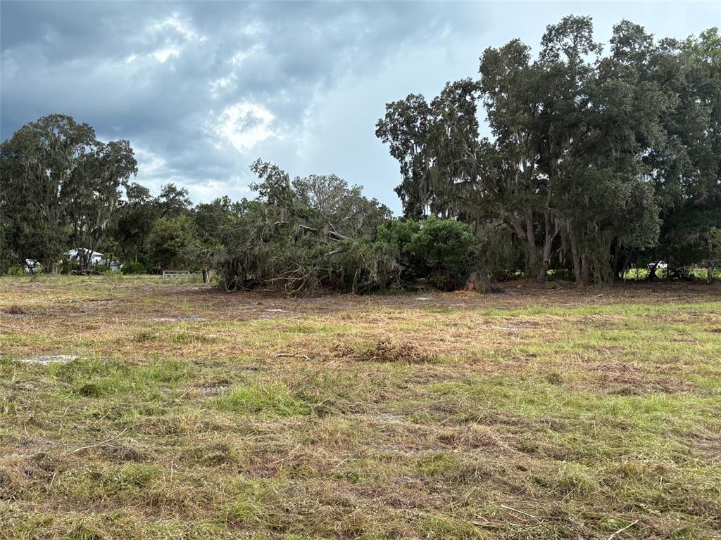 PUMP STATION RD, LAND O LAKES, FL — photo 5 of 10