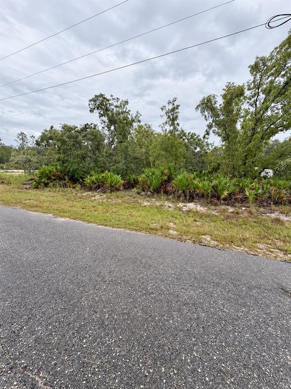0 FISHER LOOP COURSE, OCKLAWAHA, FL — photo 2 of 5