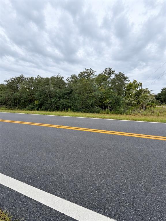 0 FISHER LOOP COURSE, OCKLAWAHA, FL — photo 3 of 5