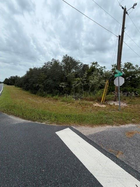 0 FISHER LOOP COURSE, OCKLAWAHA, FL — photo 4 of 5