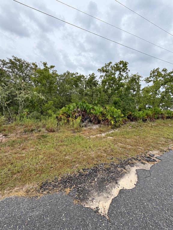 0 FISHER LOOP COURSE, OCKLAWAHA, FL — photo 5 of 5