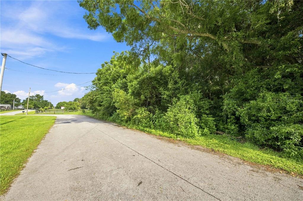 A paved road runs alongside a dense line of trees under a blue sky — 5860 SE 144TH PLACE, SUMMERFIELD, FL