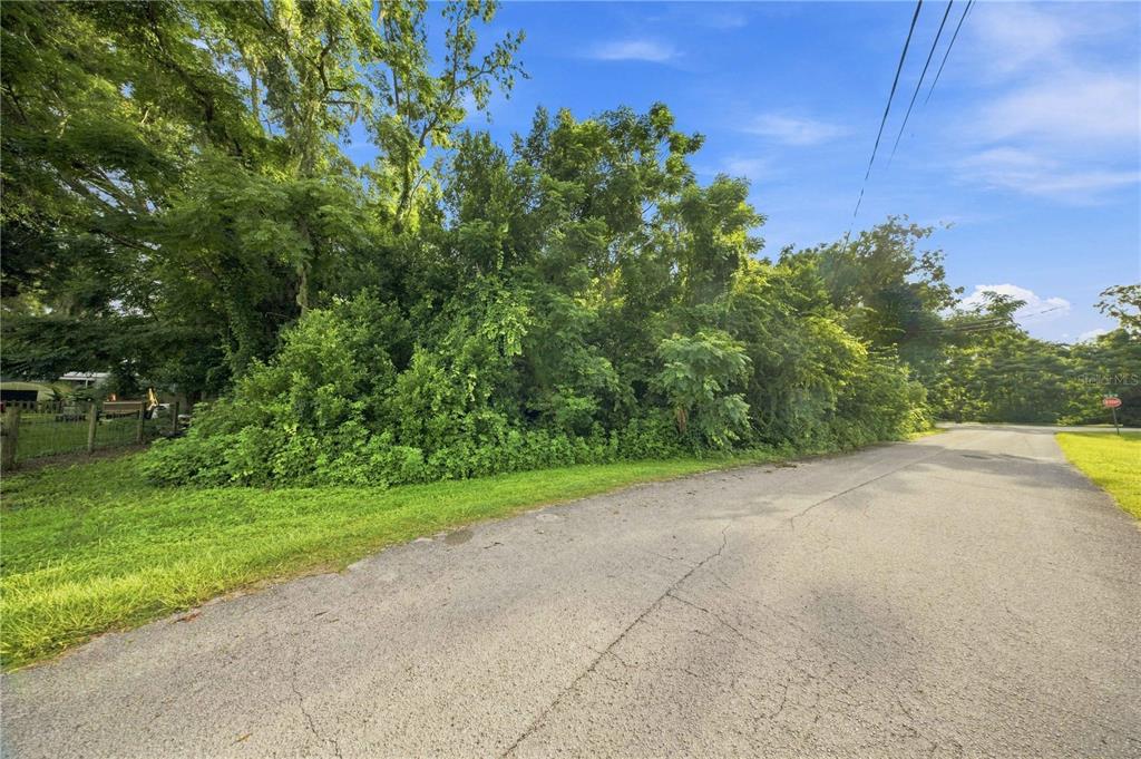 A paved road curves past a densely wooded, undeveloped residential lot under a blue sky — 5860 SE 144TH PLACE, SUMMERFIELD, FL