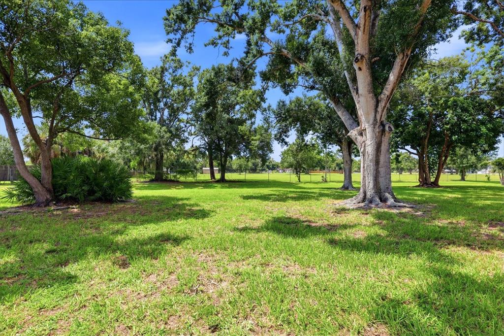 A large, grassy backyard features several mature trees and a wire fence in the distance — 4538 PAWNEE TRAIL UNIT 197, SARASOTA, FL