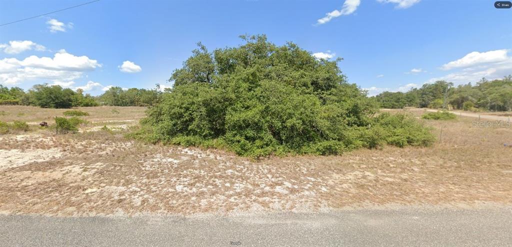 A large, dense green tree sits in the center of a flat, sandy, undeveloped lot — LIBBY ROAD, BABSON PARK, FL