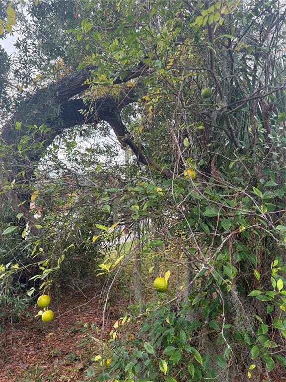 240 WASHINGTON PLACE, ORMOND BEACH, FL — photo 5 of 11