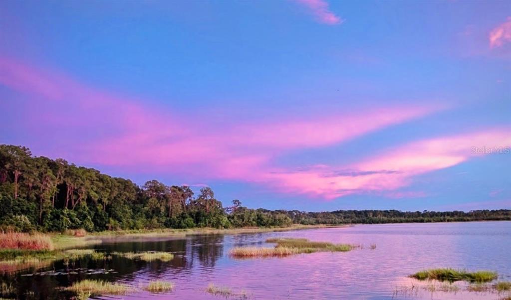 A lake surrounded by trees under a vibrant pink and blue sunset sky — 8822 WINTER GARDEN VINELAND ROAD, ORLANDO, FL