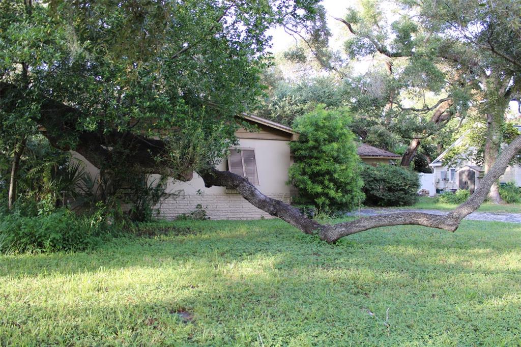 4417 W WATROUS AVENUE, TAMPA, FL — photo 5 of 12