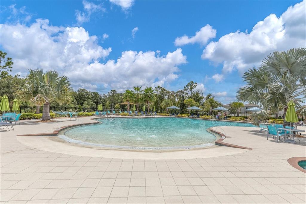 A swimming pool with a beach entry is surrounded by a tiled deck and palm trees — 17070 OVAL RUM DRIVE, WIMAUMA, FL