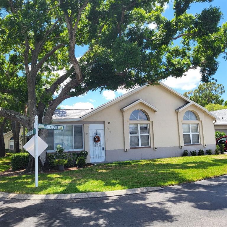 A single-story house with a white door and arched windows sits under a large tree — 3709 MOLLIE LANE, SUN CITY CENTER, FL