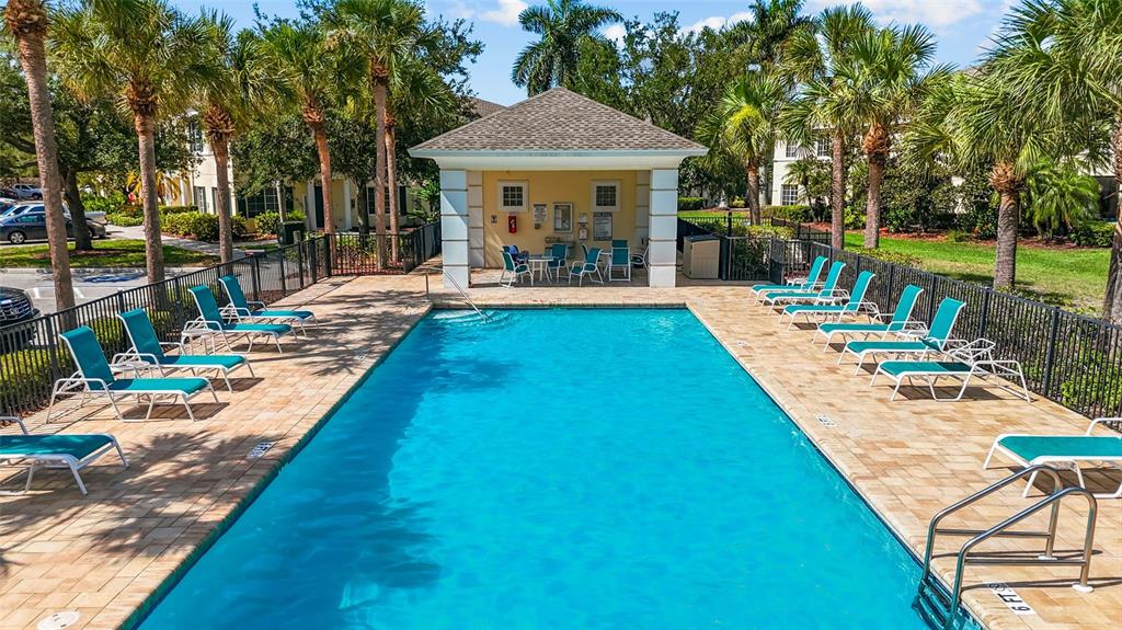 A rectangular swimming pool is surrounded by a paved deck with lounge chairs and palm trees — 220 CAPE HARBOUR LOOP Unit 101, BRADENTON, FL