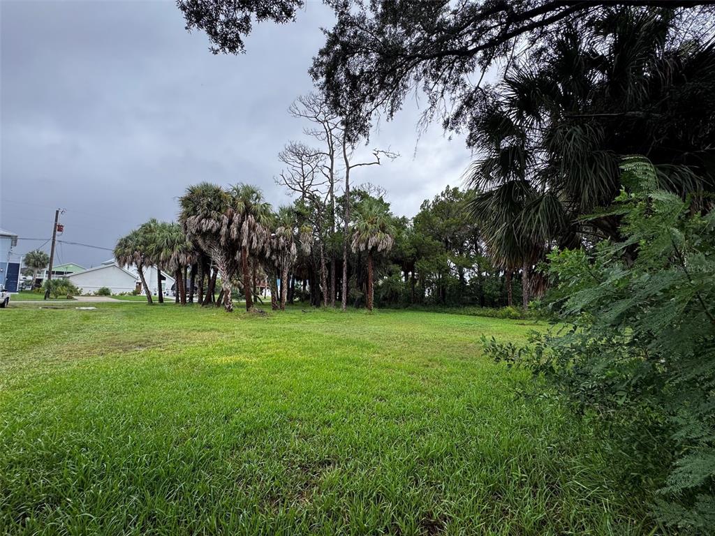 PINEDALE COURT, HERNANDO BEACH, FL — photo 2 of 4