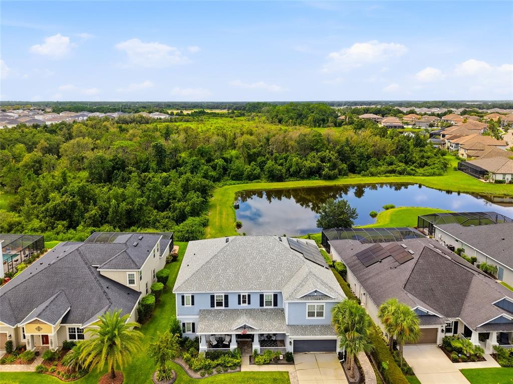 An aerial view shows a blue two-story house with a pond and dense woods behind — 33564 WILLOW POINT CT, WESLEY CHAPEL, FL
