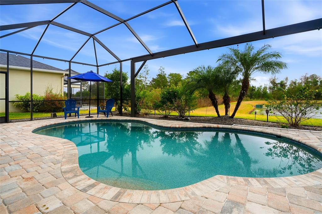 A screened-in swimming pool with a brick paver deck overlooks a grassy yard and pond — 33564 WILLOW POINT CT, WESLEY CHAPEL, FL