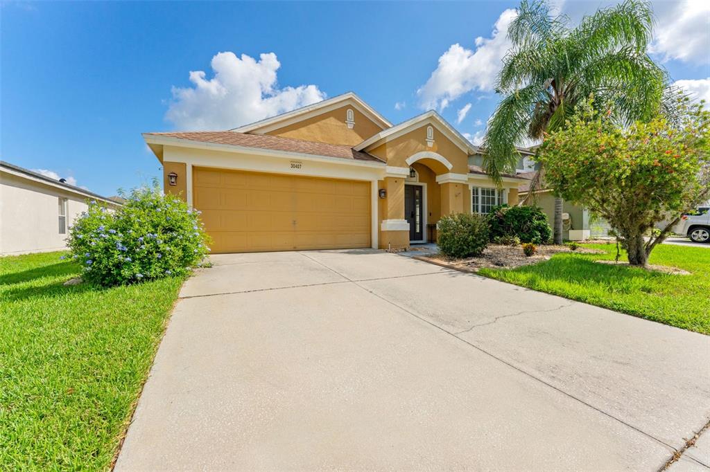 A single-story house with a tan stucco exterior, a two-car garage, and a concrete driveway — 30407 STAPLETON STREET, WESLEY CHAPEL, FL