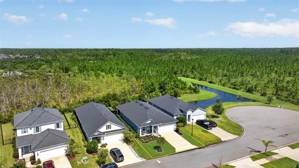 An aerial view shows several suburban houses with dark roofs situated near a wooded area — 106 NIGHTHAWK LANE, PALM COAST, FL