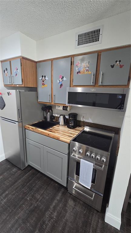 A small kitchen features gray cabinets with Disney decals, stainless steel appliances, and wood countertops — 3100 PARKWAY BOULEVARD UNIT 123, KISSIMMEE, FL