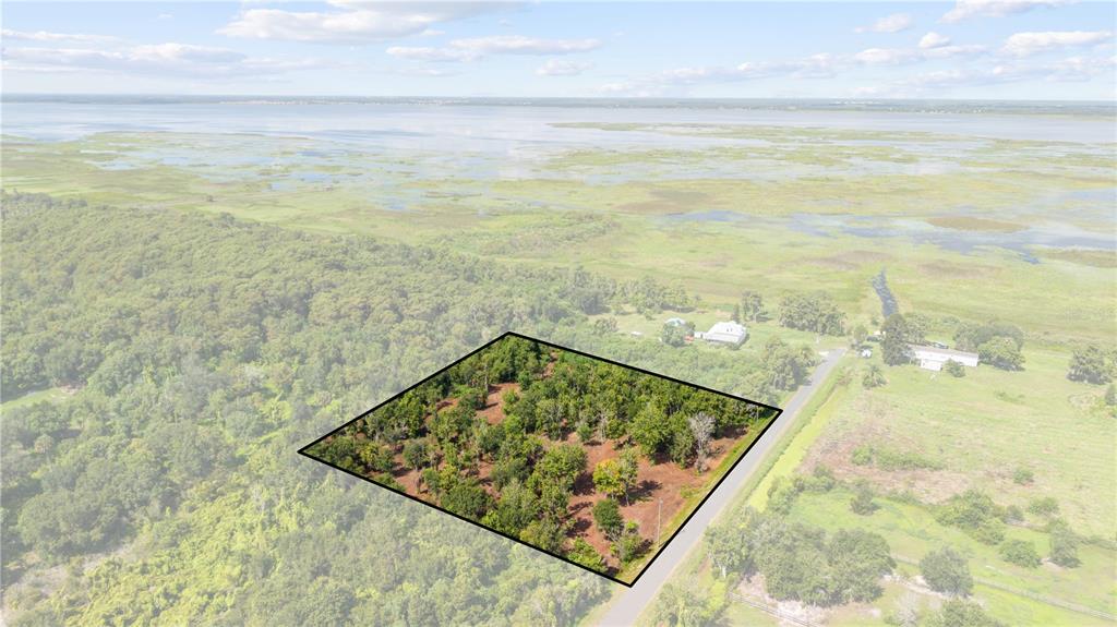 An aerial view shows a rectangular wooded lot bordered by a road and marshland — 0 LAKE TERRACE AVE. SAINT CLOUD,FL UNIT 34772, ST CLOUD, FL