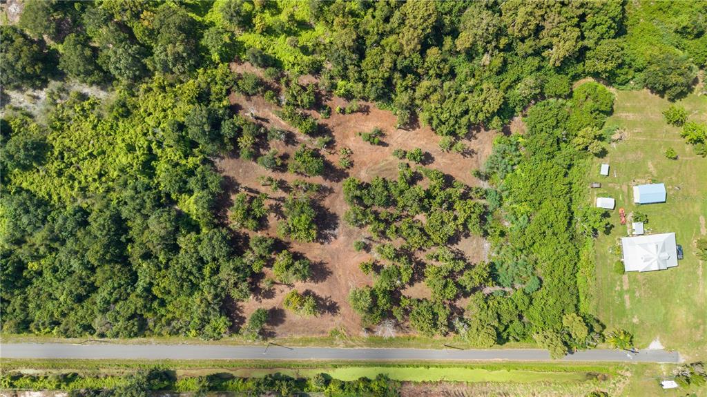 An aerial view shows a partially cleared, wooded lot next to a road and house — 0 LAKE TERRACE AVE. SAINT CLOUD,FL UNIT 34772, ST CLOUD, FL