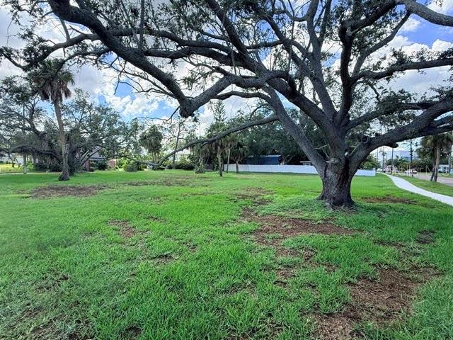 ARKANSAS AVENUE NE, ST PETERSBURG, FL — photo 3 of 4