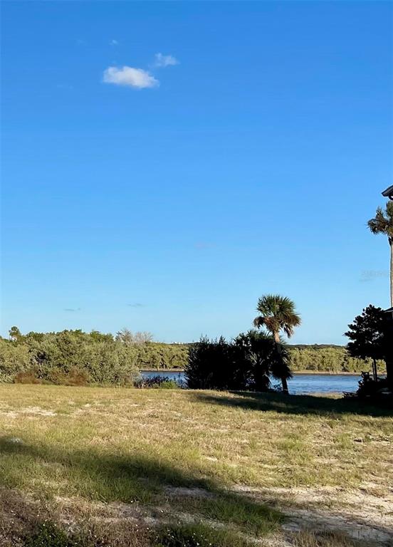 A grassy field overlooks a body of water with trees and a palm tree — 66 CORONADO ROAD, FLAGLER BEACH, FL