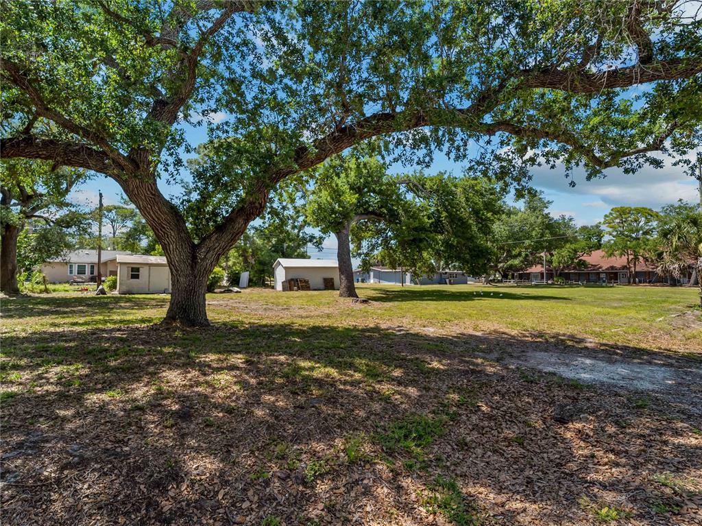 A large, grassy lot features several mature oak trees and small detached storage sheds — DAWN DRIVE, VENICE, FL