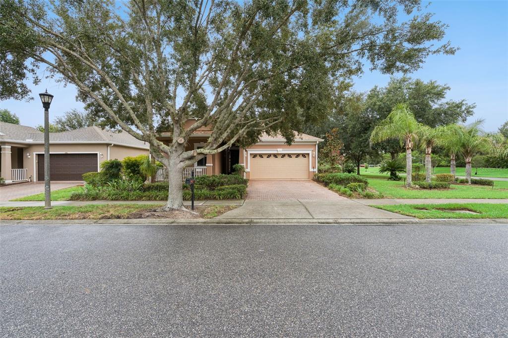 A single-story house with a two-car garage and a large tree in the front yard — 100 FLAME VINE WAY, GROVELAND, FL