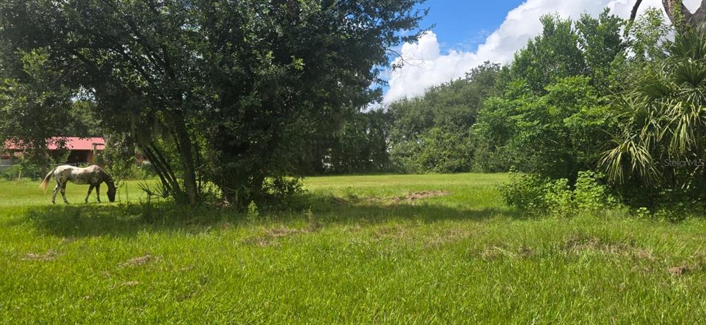 4511 E KEYSVILLE ROAD, LITHIA, FL — photo 5 of 14
