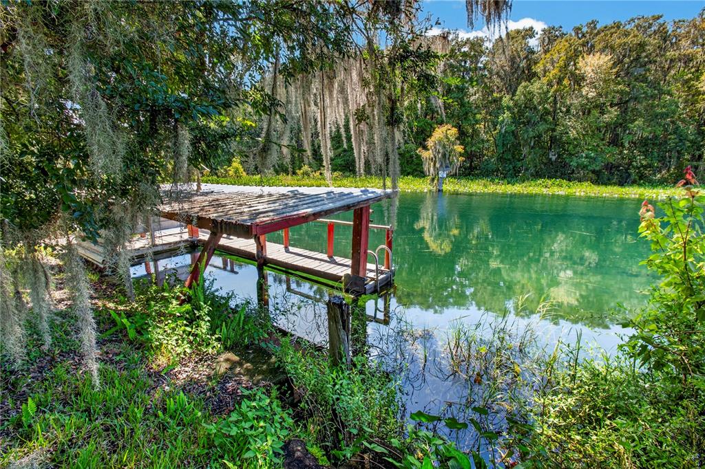 12180 MAPLE STREET, DUNNELLON, FL — photo 2 of 30