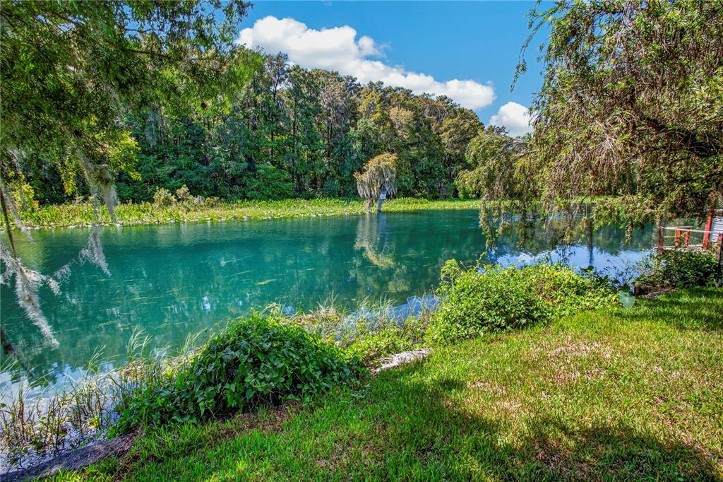 12180 MAPLE STREET, DUNNELLON, FL — photo 5 of 30