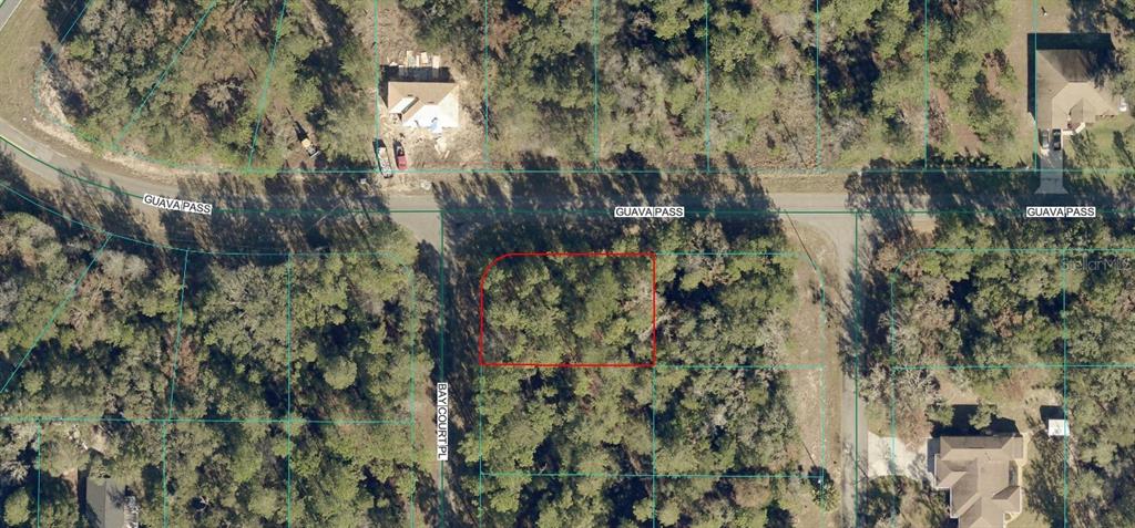 An aerial map view shows a vacant, wooded residential lot outlined in red — LOT 1 BAY COURT PASS, OCKLAWAHA, FL