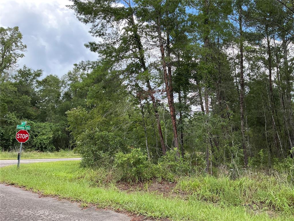 A stop sign and street sign stand at the edge of a wooded, grassy lot — LOT 1 BAY COURT PASS, OCKLAWAHA, FL